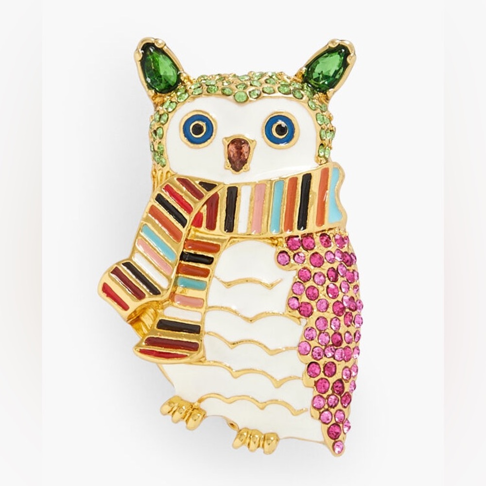 NWT Talbots Cozy Owl Brooch